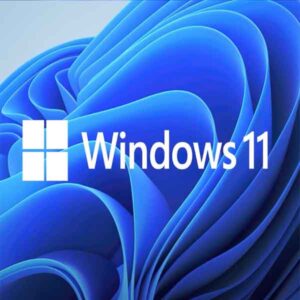Windows 11 professional online activation lifetime key