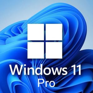 Windows 11 professional 1 pc activation online key